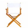 Director Chair