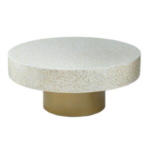 Mother Of Pearl Coffee Table