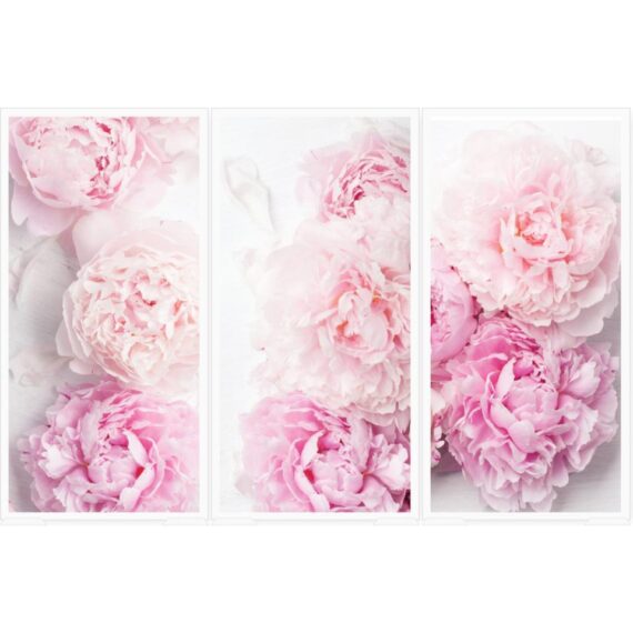 Peonies Panel