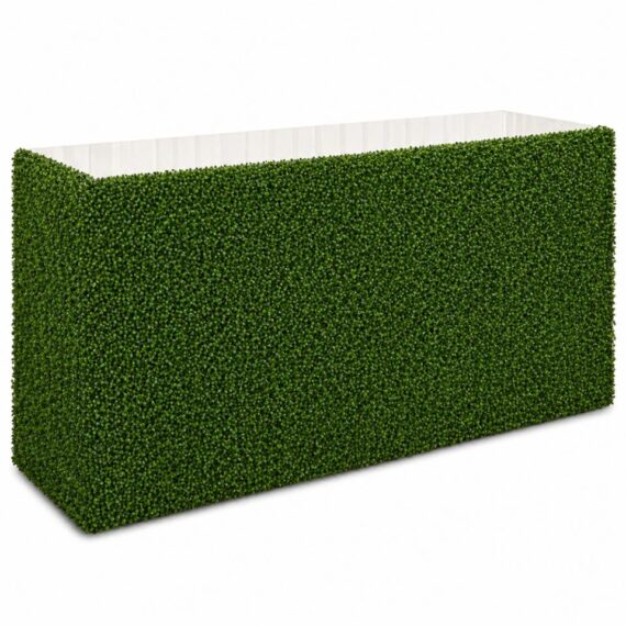 Boxwood Bar